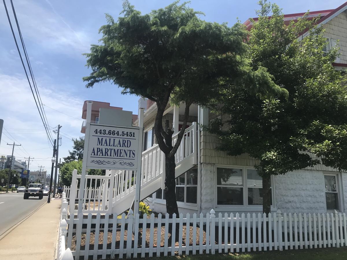 Mallard Apartments Ocean City Ngoại thất bức ảnh